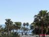 Oropesa Sea Life - Foto 42