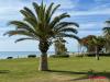 Brisamar Living - Foto 31