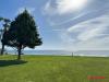Brisamar Living - Foto 30