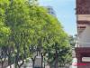 Brisamar Living - Foto 39