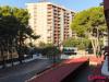 Entre Mares - Foto 12